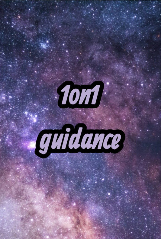 1on1 guidance